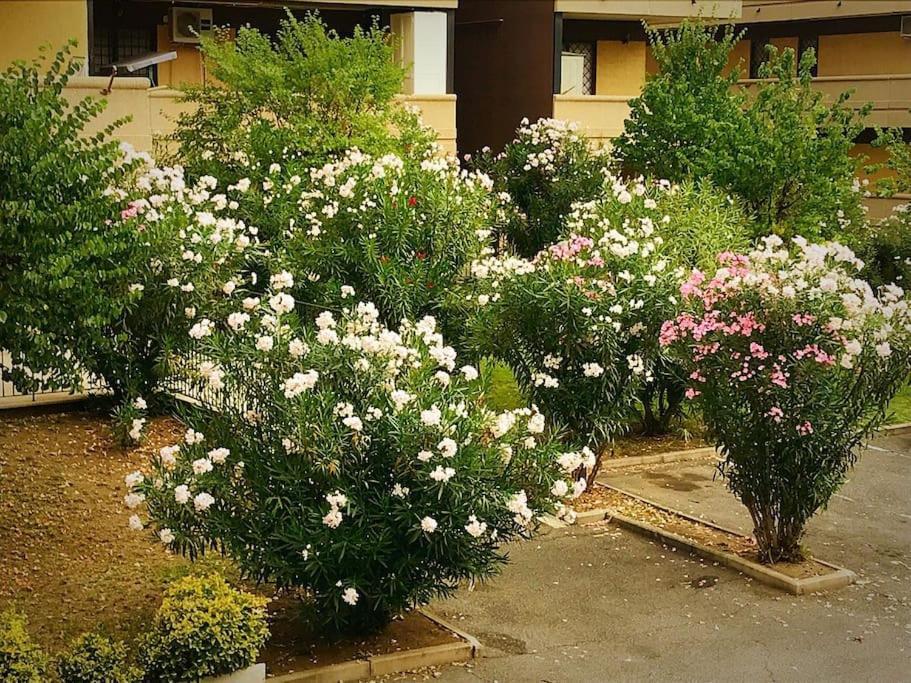 Apartment With Private Parking - Roma Est. Lunghezza Exterior photo